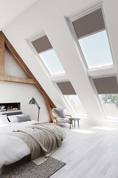 files/Skye-Vitra_Zorro.jpg